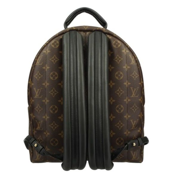 Louis Vuitton Backpack Monogram Palm Springs MM - Picture 4 of 8